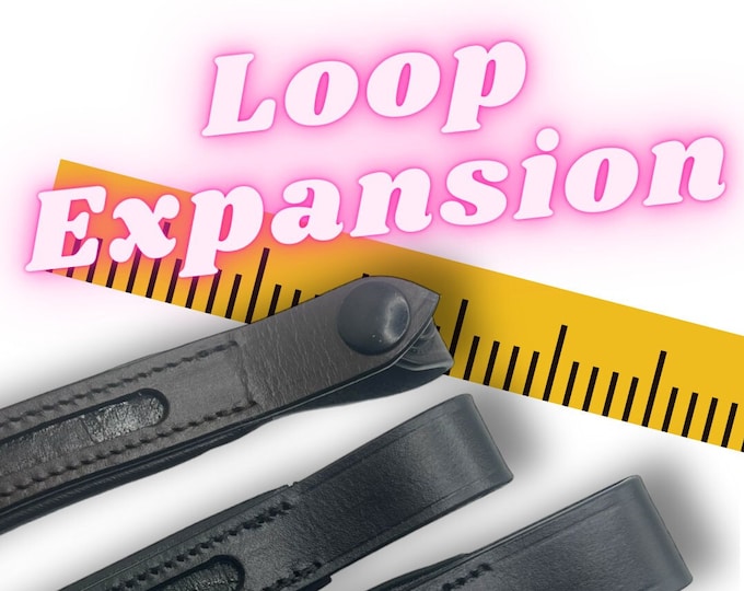 Loop Expansion
