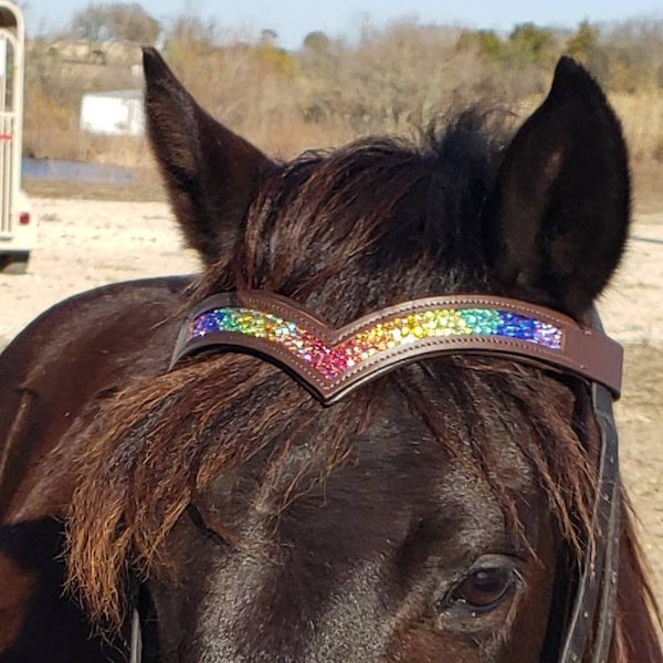 Rainbow browband - bling browband for horses - western browband - English browband - rainbow horse tack - padded leather browband - Jeweled