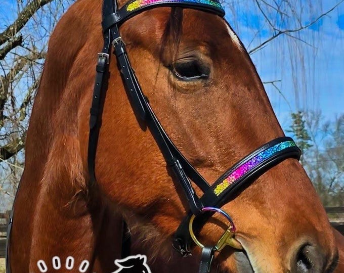 Custom Crystal Anatomical Bridle