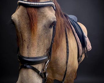 Pearl Crystal Browband - English Browband - western browband - V browband - curved browband - bling browband for horses - dressage browband