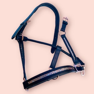Rose Gold Halter with Rose Gold Hardware - Rose Gold Head Collar -leather padded halter - rainbow horse tack- rainbow browband
