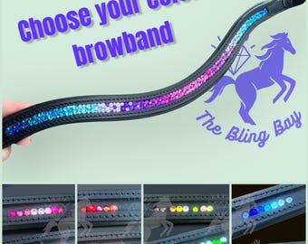 Custom Bling Crystal Browband