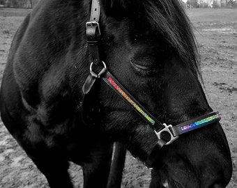 Back in Stock! Rainbow Halter - Rainbow Head Collar -leather padded halter - rainbow horse tack- rainbow browband