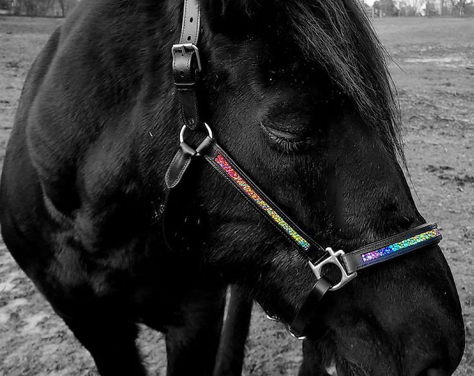 Rainbow Halter