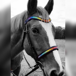 Rainbow Bridle - Dressage bridle - fancy bridal - bling headstall - anatomical bridal for horse - diamond bridle - bridles with bling - gift