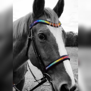 Rainbow Bridle - Dressage bridle - fancy bridal - bling headstall - anatomical bridal for horse - diamond bridle - bridles with bling