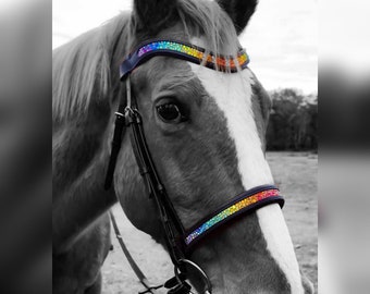 Rainbow Bridle