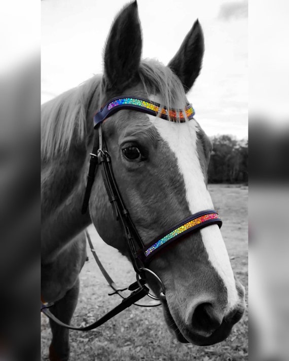 Tétière d'Équitation Anatomique en Cuir - Dy'on