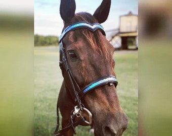 Custom Crystal Anatomical Bridle