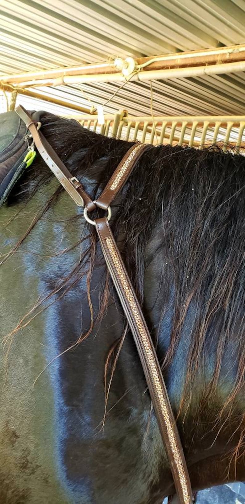 Rose Gold Breastplate for Horses Diamond Breast Collar for Etsy