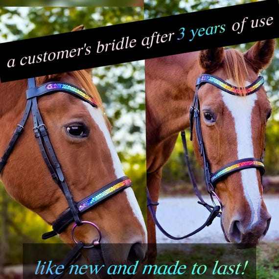 Bride Leaders en cuir, bride de dressage avec flash - Taille