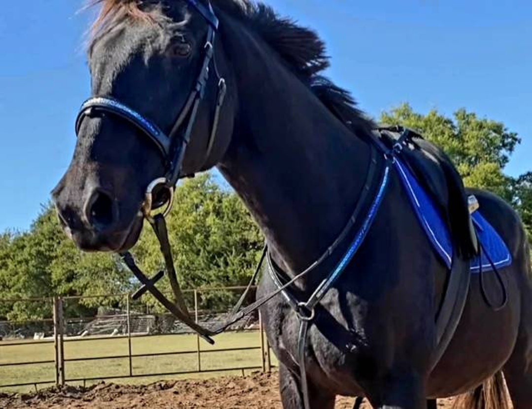 Ombre Breastplate for Horses Diamond Breast Collar for Horses Running