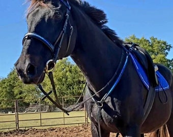 Custom Ombre Crystal Breastplate