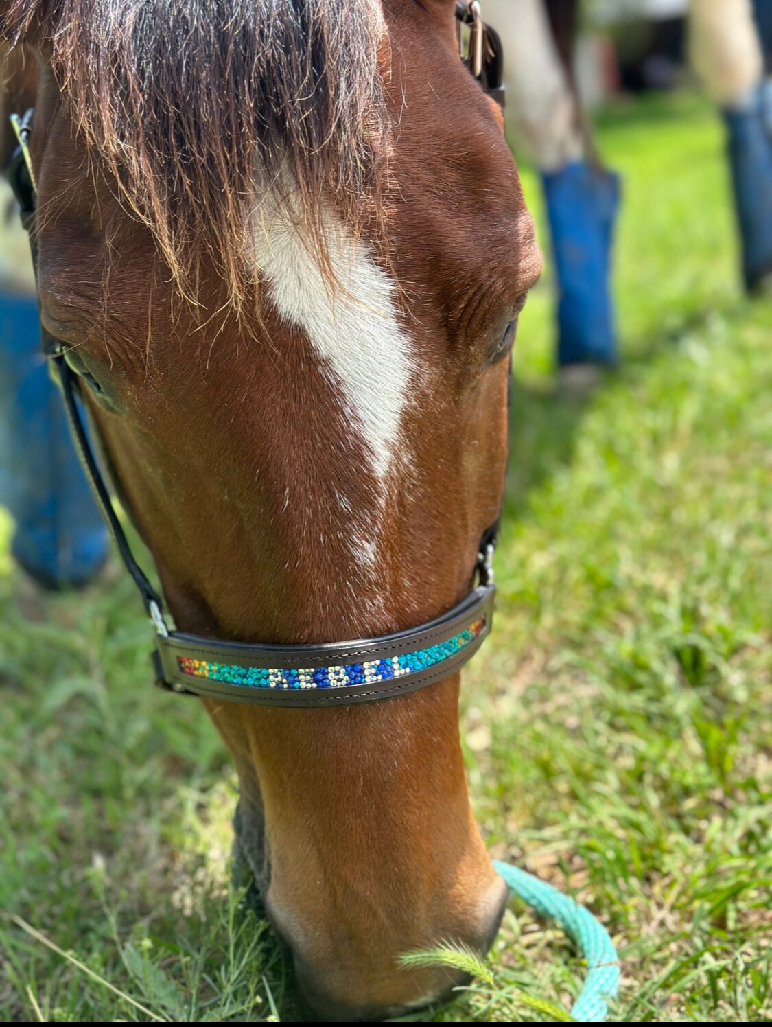 Name Custom Halter - Bling Head Collar - choose your own colors -leather padded halter - pink purple blue green orange yellow red black