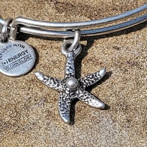 Alex and ani store north star necklace