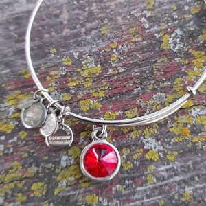 May include: A silver bangle bracelet with a red crystal charm. The bracelet has several small charms attached to it.