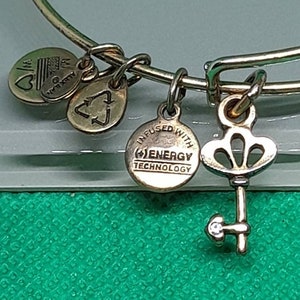 Alex and Ani Skeleton Key Charmed Bangel Bracelet