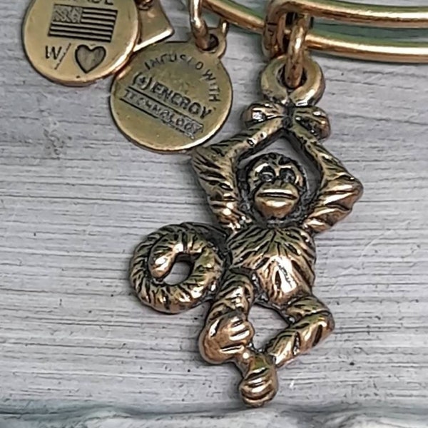 Alex and Ani Monkey Charm Bangle Bracelet