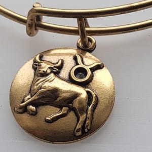 Alex and Ani Taurus III Charm Bangle Bracelet