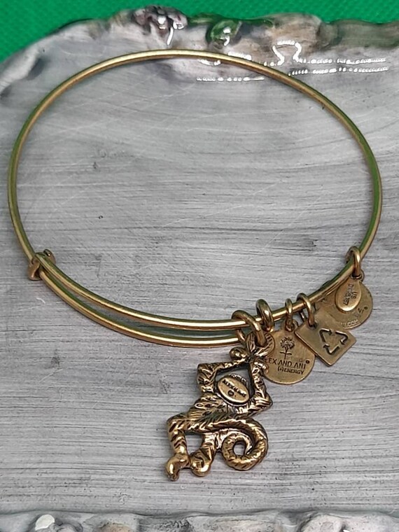 Alex and Ani Monkey Charm Bangle Bracelet Etsy