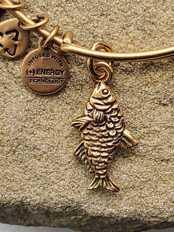 Alex and ani fish hook necklace best sale