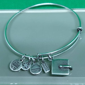 May include: Silver charm bracelet with charms that say "Made in USA", "2014", "Infused with Energy Technology", and a graduation cap charm.