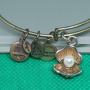 Alex and ani gigi bracelet deals