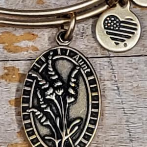 Pulseira de charme Alex e Ani Tia II
