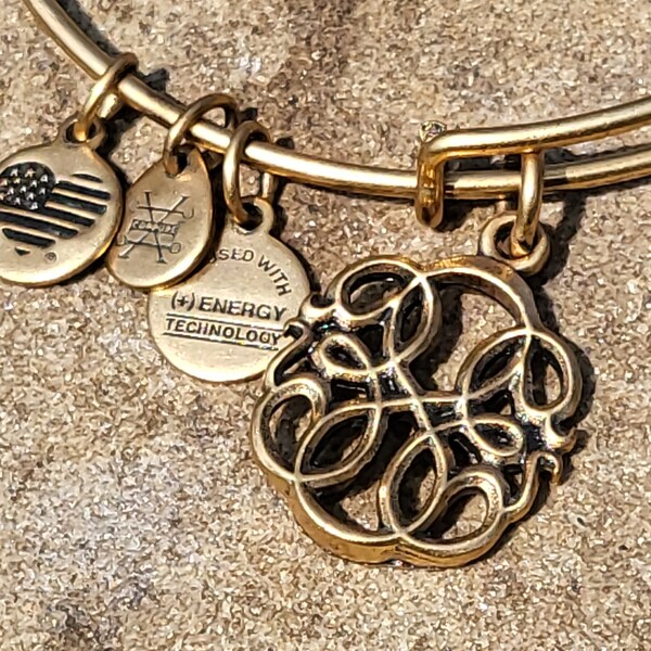 Charm Bracelet Alex and Ani Etsy