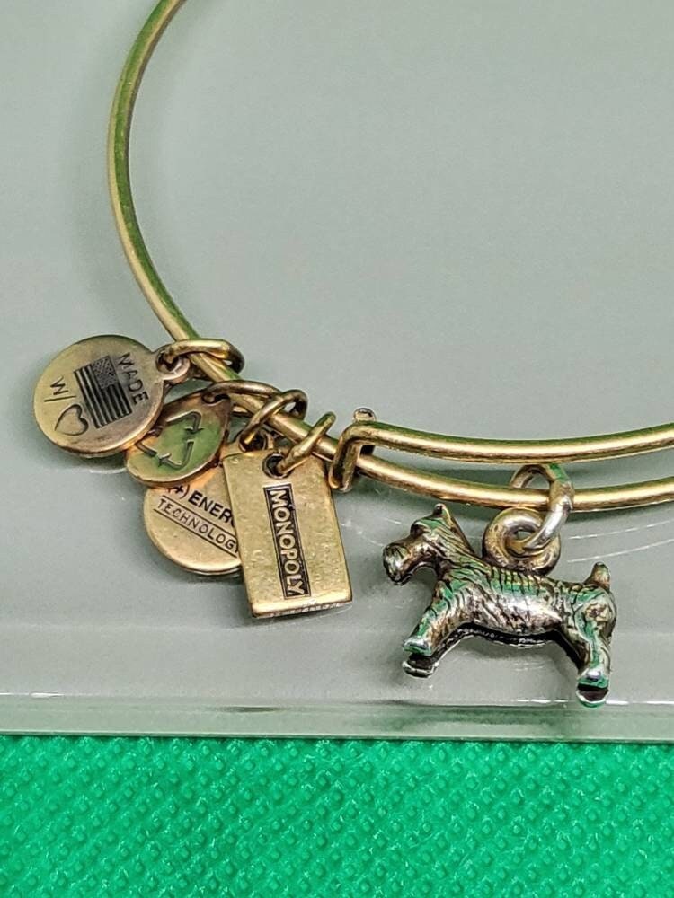 alex and ani dog paw bracelet