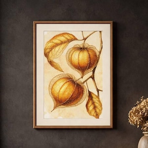 Könnte beinhalten: Ein gerahmter botanischer Druck mit einer detaillierten Illustration von goldenen Physalis-Früchten und -Blättern. Das Kunstwerk ist vor einem neutralen Hintergrund mit einer warmen, erdigen Farbpalette dargestellt. Der Druck wird in einem Wohnzimmer gezeigt.