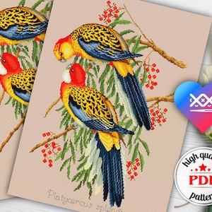Kreuzstich Vögel PDF Muster, Handstickerei, sofortiger Download Stickvorlage, digitales Stickmuster für Vögel