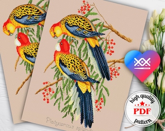 Patrón PDF de pájaros para punto de cruz, diseño de bordado a mano, gráfico de costura de descarga instantánea, patrón digital de aves tropicales