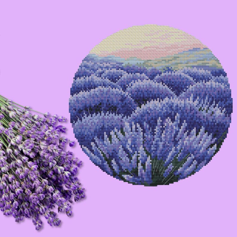 May include: A cross-stitch design of a lavender field in a circular shape, with a bouquet of fresh lavender on the left. The field is rendered in shades of purple and blue, with a light pink and yellow sky.