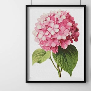 Hydrangea cross stitch pattern, pink garden flowers x-stitch pdf design, sommer floral stitching wall art, botanical modern cross stitch