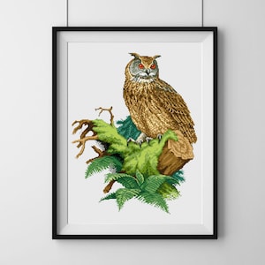 Eule Kreuzstich Anleitung, Kreuzstich Stickmuster Vogel, PDF Muster