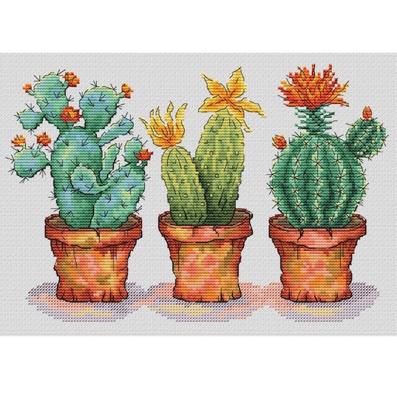 Kaktus Kreuzstich Stickmuster, Kaktus Liebhaber Geschenk PDF Digitale  Dateien, Blhender Kaktus in Tpfen x-Stich Design - Etsy.de
