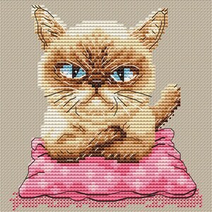 Op de afbeelding: Een bruine en witte kat met blauwe ogen ligt op een roze kussen. De kat kijkt met een serieuze uitdrukking naar de camera.