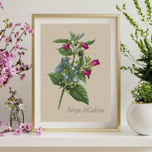 Puede incluir: Obra de arte de punto de cruz de Atropa belladonna, enmarcada en oro. La ilustración botánica presenta hojas verdes, flores rosas y bayas negras sobre un fondo beige. El texto "Atropa belladonna" está escrito en cursiva.