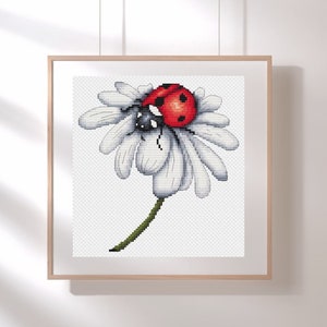 May include: A red ladybug with black spots sits on a white daisy with a green stem. The daisy is in bloom and has multiple petals.