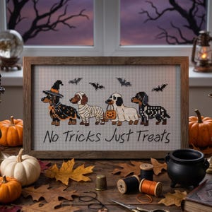 May include: A framed cross-stitch embroidery featuring four dachshunds in Halloween costumes, including a witch, a mummy, a ghost, and a skeleton, with bats above and the text "No Tricks Just Treats" printed in black lettering below the dogs.