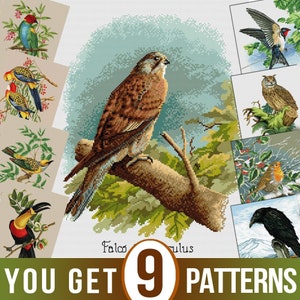 May include: Nine cross-stitch patterns featuring different birds. The patterns include a toucan, a robin, a hawk, an owl, a swallow, and several other birds. The patterns are all in a vintage style and are perfect for cross-stitch enthusiasts.