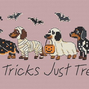 May include: A cross-stitch pattern on a mauve background featuring four dachshunds in Halloween costumes: a witch, a mummy, a ghost holding a pumpkin bucket, and a skeleton. Four black bats fly above, with the text No Tricks Just Treats below.