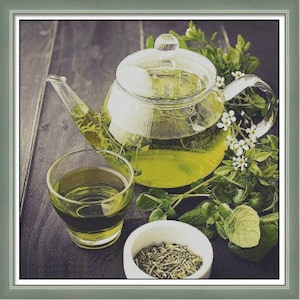 Cup & teapot cross stitch pattern, Herbal green tea x-stitch, still life drink digital design