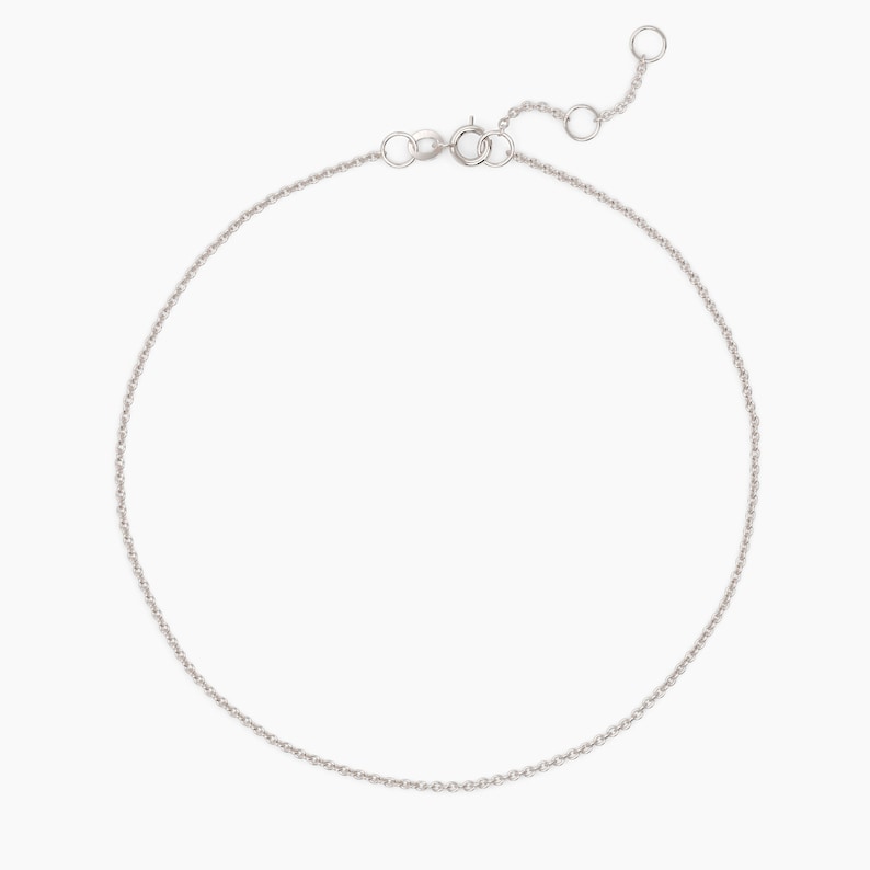 May include: A silver chain anklet with a lobster clasp closure.