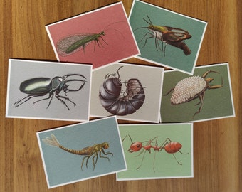 Collection of bugs on postcards printed on A6 aquarelle paper - set of 1, 7 or 10