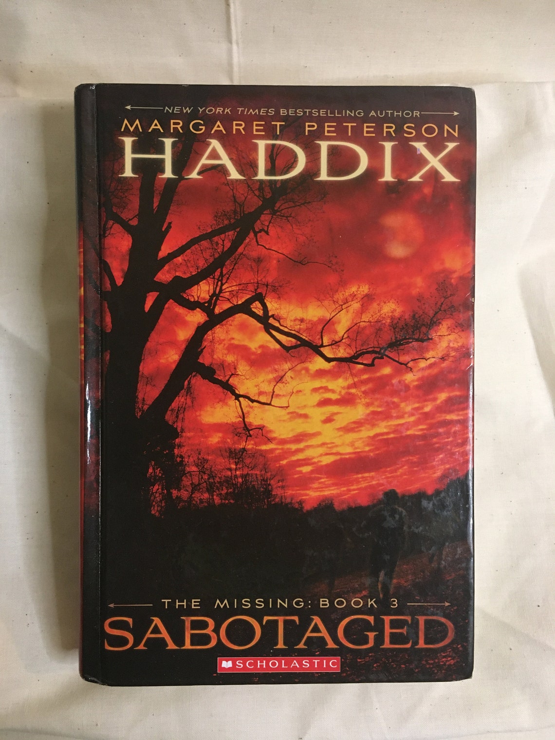 found novel margaret peterson haddix found novel margaret peterson haddix
