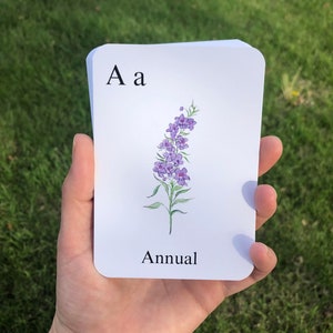 Download digital Cartões ABC de jardim I Cartões de aprendizagem Montessori I Cartões inspirados na natureza I Jardinagem com crianças pequenas
