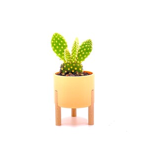 Dreibein blumentopf - Etsy.de