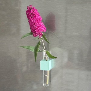 Kühlschrankmagnet Blumenvase mit Reagenzglas 1-fach